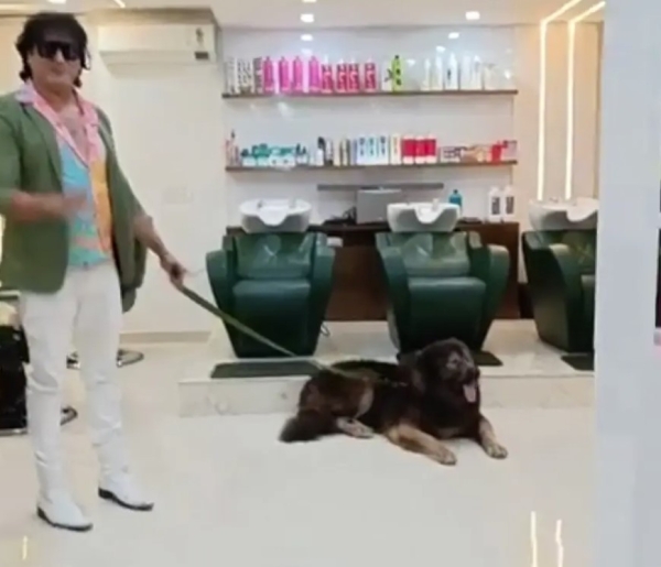 Это самая дорогая собака в мире — ее продали за $5,7 миллиона Это самая дорогая собака в мире — ее продали за $5,7 миллиона