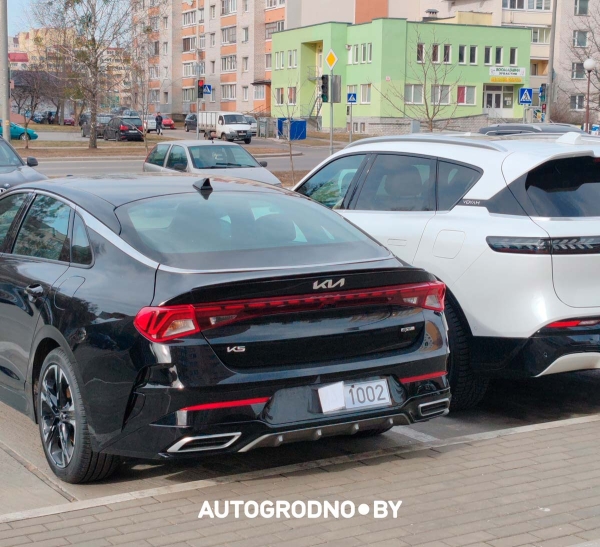 Когда в Беларуси выдаются «бумажные номера» и что делать, если их снесло? Комментарий ГАИ Когда в Беларуси выдаются «бумажные номера» и что делать, если их снесло? Комментарий ГАИ