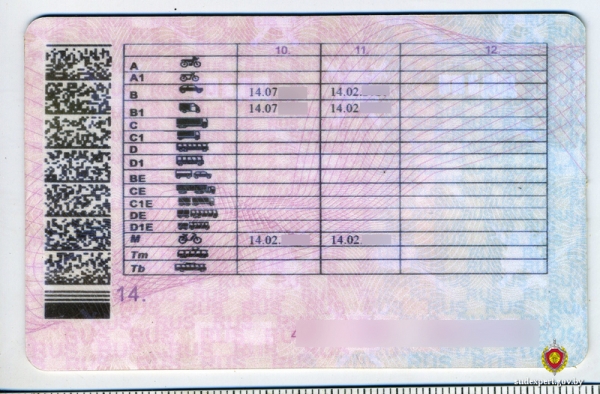 Белорус ездил с правами на чужое имя. Вот к чему это привело Белорус ездил с правами на чужое имя. Вот к чему это привело