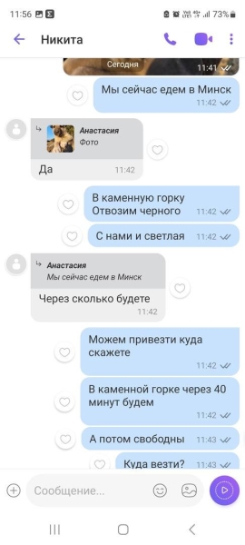 «Делают взрослый голос, врут про маму». Зачем школьникам массово понадобились щенки?