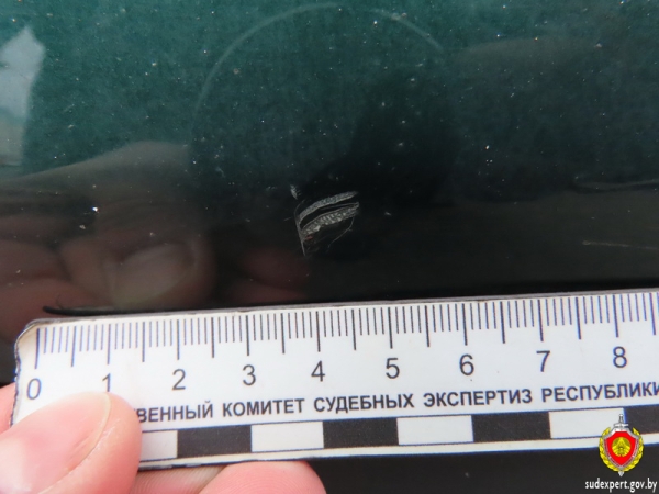 Пинчанка отказывалась признать, что её ребёнок повредил чужое авто. Как решили вопрос? Пинчанка отказывалась признать, что её ребёнок повредил чужое авто. Как решили вопрос?