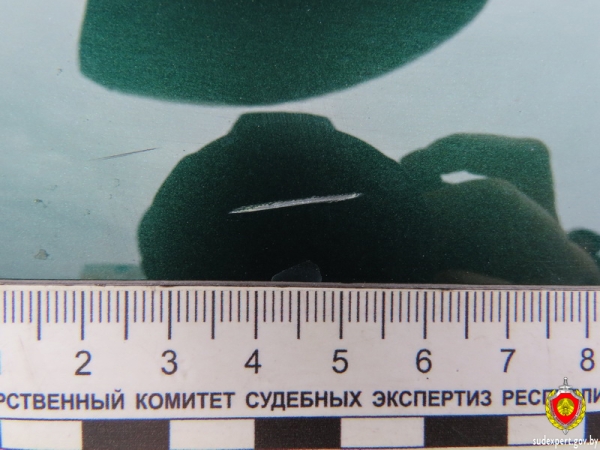 Пинчанка отказывалась признать, что её ребёнок повредил чужое авто. Как решили вопрос? Пинчанка отказывалась признать, что её ребёнок повредил чужое авто. Как решили вопрос?