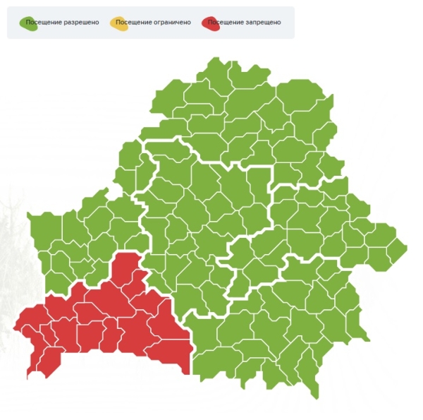 Во всех районах Брестской области введен запрет на посещение лесов Во всех районах Брестской области введен запрет на посещение лесов