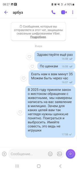 «Делают взрослый голос, врут про маму». Зачем школьникам массово понадобились щенки?