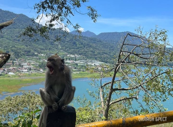 Где белорусы будут отдыхать весной и летом: популярные направления и цены Где белорусы будут отдыхать весной и летом: популярные направления и цены