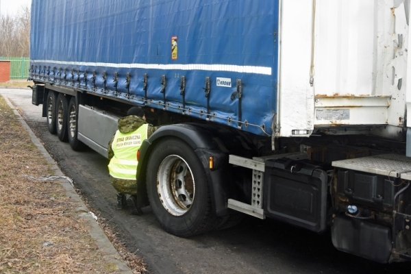 Белоруса на грузовике не выпустили из Польши, и вот почему Белоруса на грузовике не выпустили из Польши, и вот почему