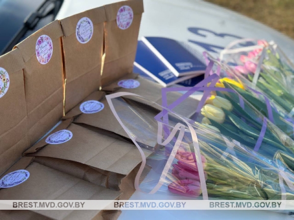 В Бресте ГАИ останавливали женщин-водителей: с какой целью?