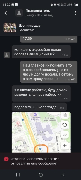 «Делают взрослый голос, врут про маму». Зачем школьникам массово понадобились щенки?