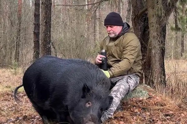 Белорус приручил дикого кабана Белорус приручил дикого кабана