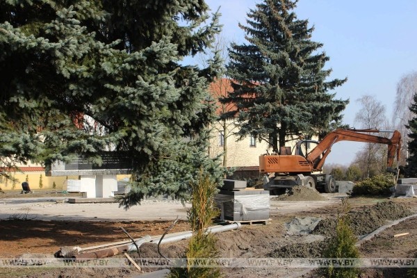 «Бедная сова сидела прямо на бордюре». В центре Пинска вырубили ряд красивейших елей «Бедная сова сидела прямо на бордюре». В центре Пинска вырубили ряд красивейших елей