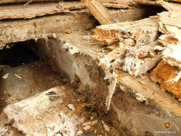 В Беларуси супруги купили красивый дом, дождались зимы — и пришлось обращаться к судэкспертам. Вот почему В Беларуси супруги купили красивый дом, дождались зимы — и пришлось обращаться к судэкспертам. Вот почему