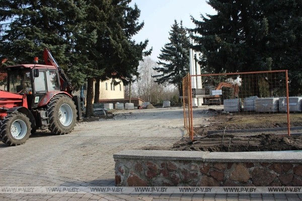 «Бедная сова сидела прямо на бордюре». В центре Пинска вырубили ряд красивейших елей «Бедная сова сидела прямо на бордюре». В центре Пинска вырубили ряд красивейших елей