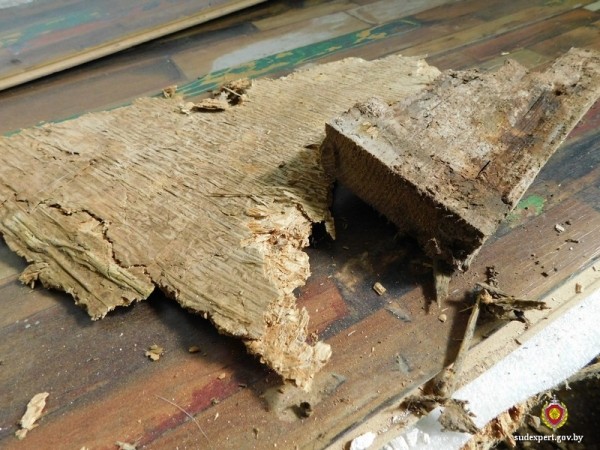 В Беларуси супруги купили красивый дом, дождались зимы — и пришлось обращаться к судэкспертам. Вот почему В Беларуси супруги купили красивый дом, дождались зимы — и пришлось обращаться к судэкспертам. Вот почему