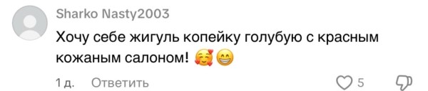 Запорожец с бантиком: неожиданный подарок покорил сердца пользователей TikTok Запорожец с бантиком: неожиданный подарок покорил сердца пользователей TikTok