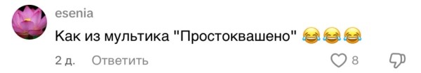 Запорожец с бантиком: неожиданный подарок покорил сердца пользователей TikTok Запорожец с бантиком: неожиданный подарок покорил сердца пользователей TikTok