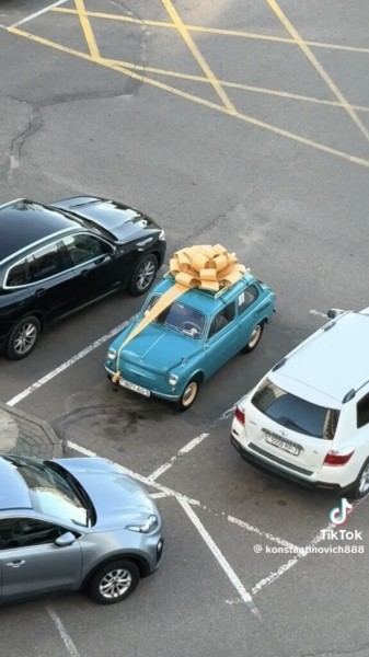 Запорожец с бантиком: неожиданный подарок покорил сердца пользователей TikTok Запорожец с бантиком: неожиданный подарок покорил сердца пользователей TikTok