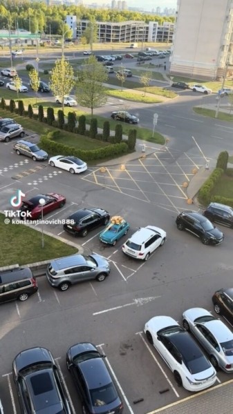 Запорожец с бантиком: неожиданный подарок покорил сердца пользователей TikTok Запорожец с бантиком: неожиданный подарок покорил сердца пользователей TikTok