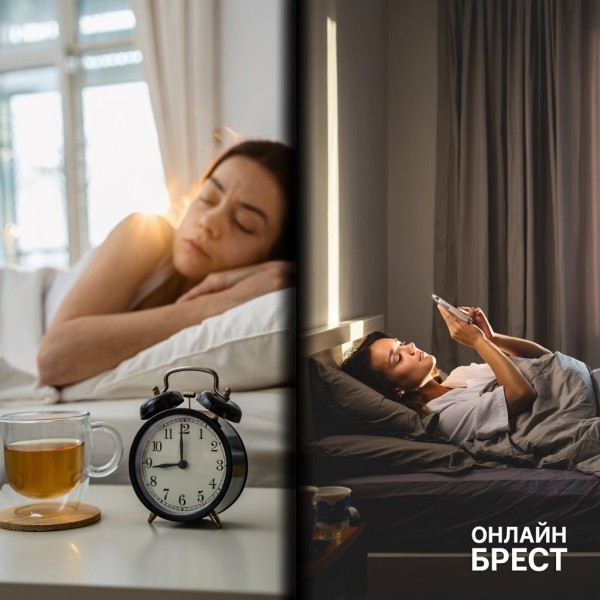 Совы или жаворонки? Доктор рассказала, кто живет дольше Совы или жаворонки? Доктор рассказала, кто живет дольше