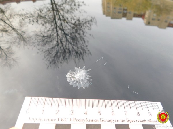 В Бресте подросток кинул камень через забор и повредил дорогой автомобиль