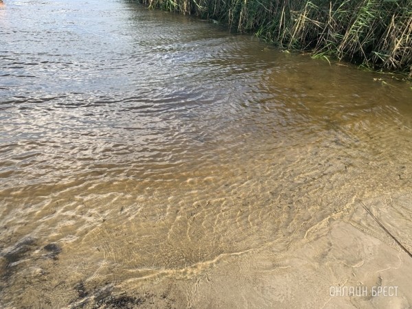 Двое мужчин опрокинулись на гидроцикле в Пинском районе — один утонул Двое мужчин опрокинулись на гидроцикле в Пинском районе — один утонул