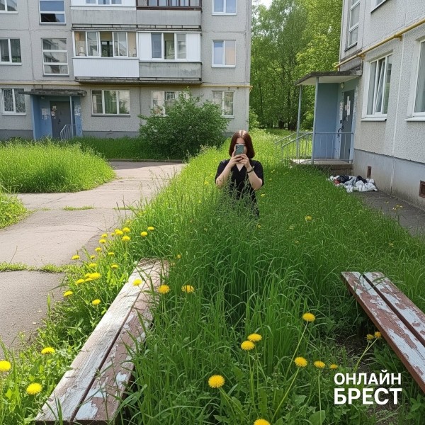 Штраф за 20 см: белорусы показывают высоту травы возле своих домов Штраф за 20 см: белорусы показывают высоту травы возле своих домов