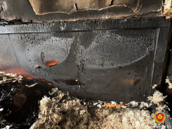 Оставленный на зарядке телефон стал причиной пожара в Брестской области